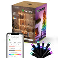 Nanoleaf Smart Holiday String Lights